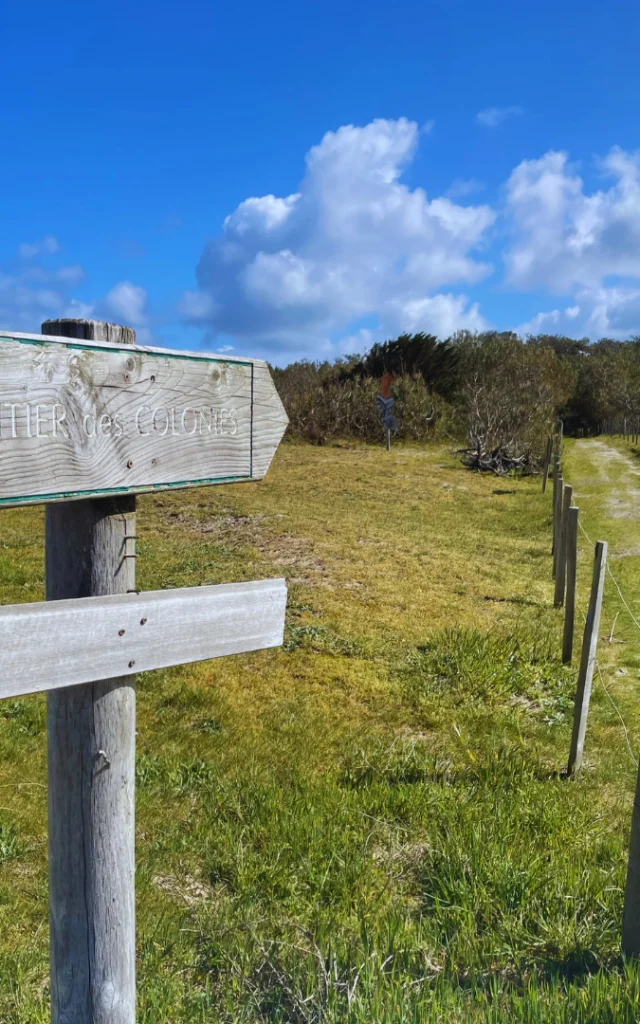 Trail walk 