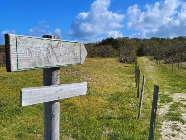 Balade Sentier 