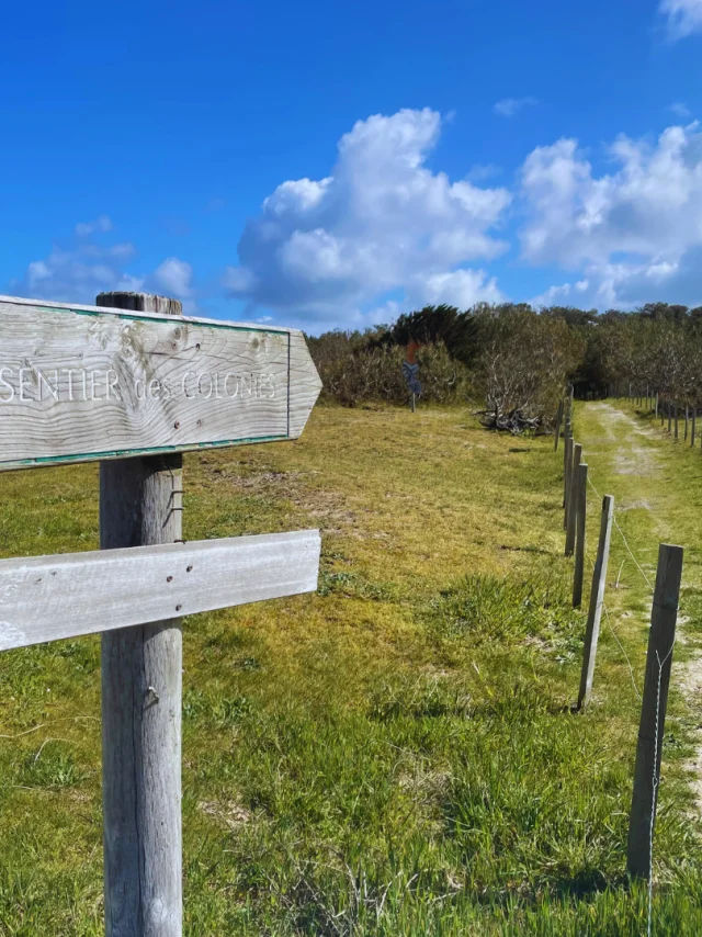 Balade Sentier 