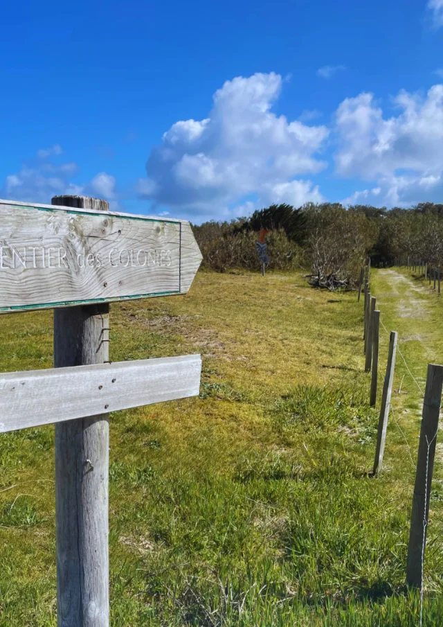 Balade Sentier 